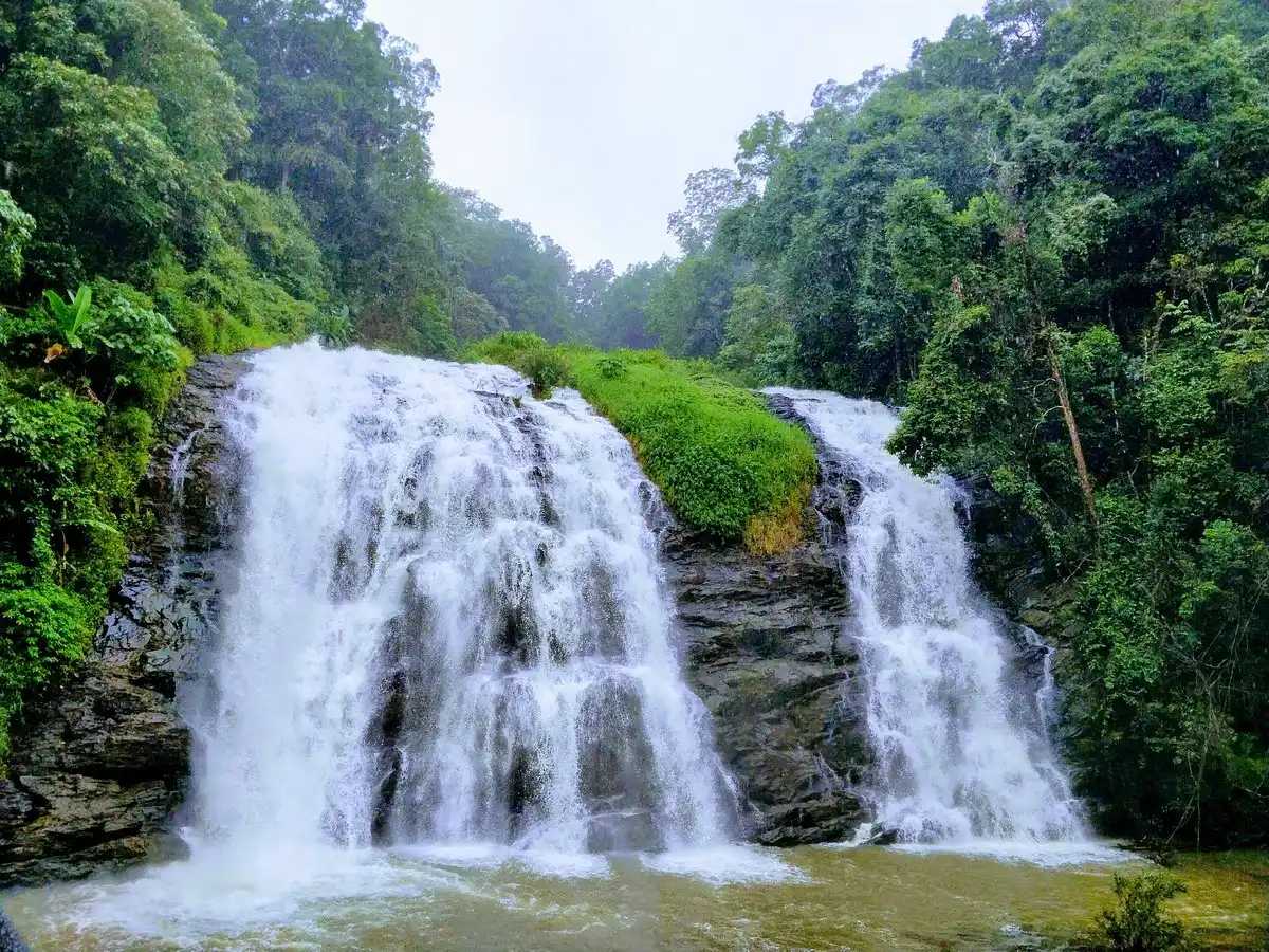 COORG