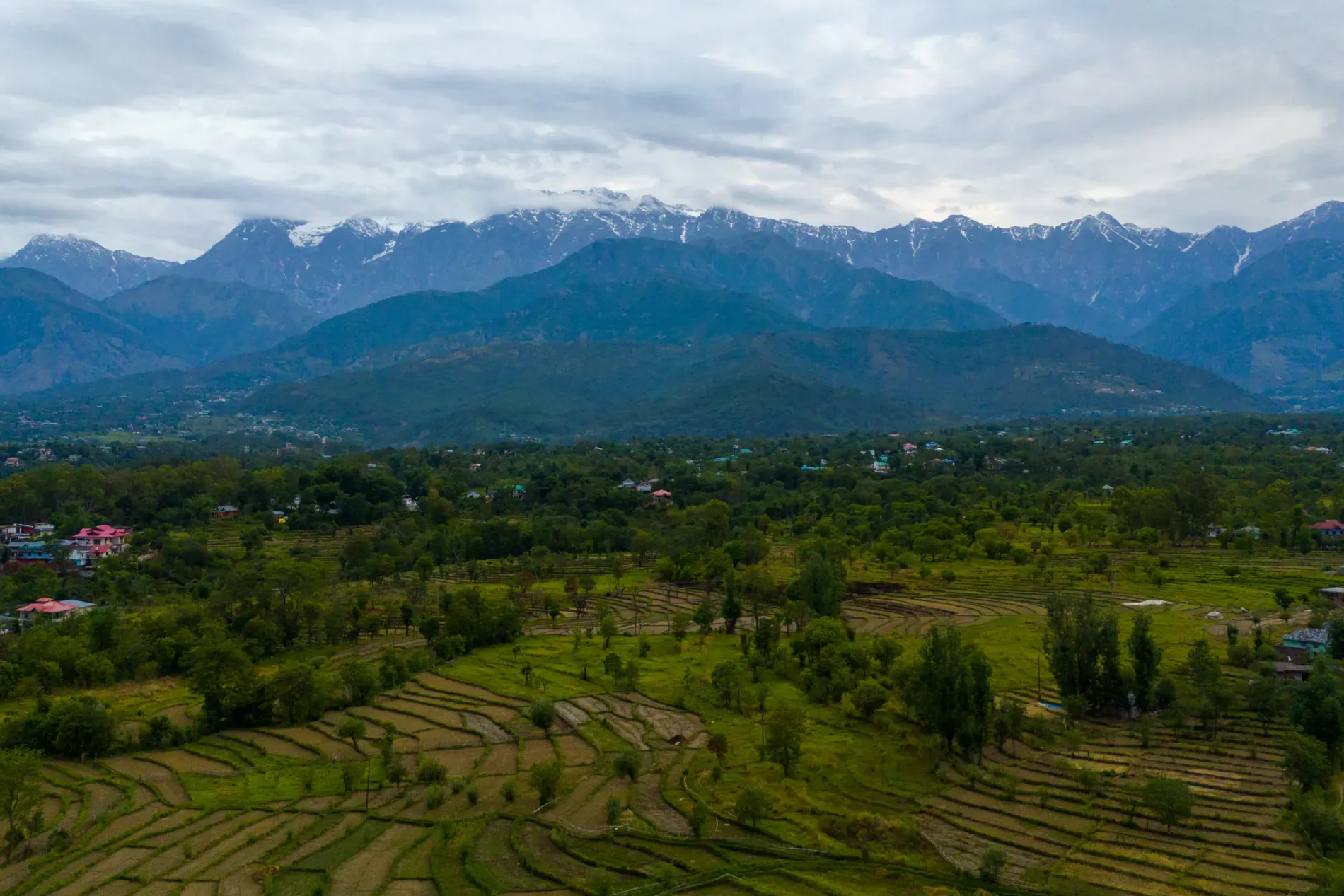 Palampur Villa Hillside 1-Room Retreat