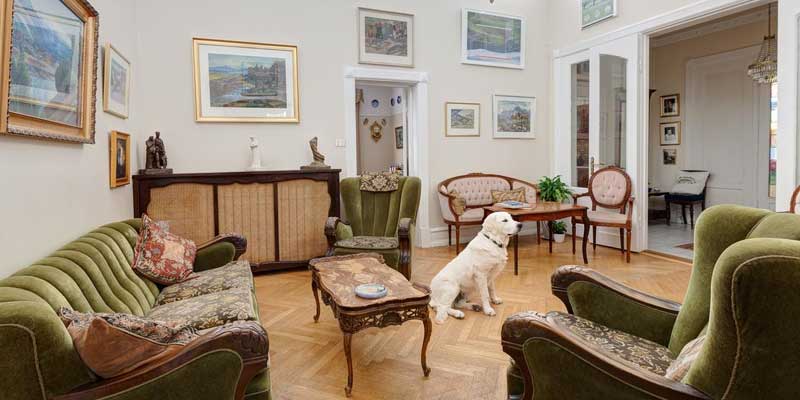 Pet-Friendly Options